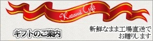ギフト